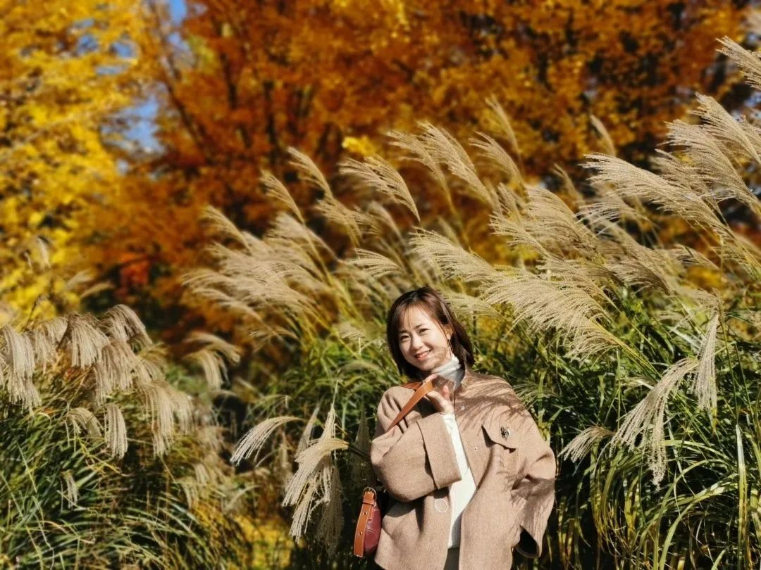 1670889820735723.jpg 1670889820735723.jpg