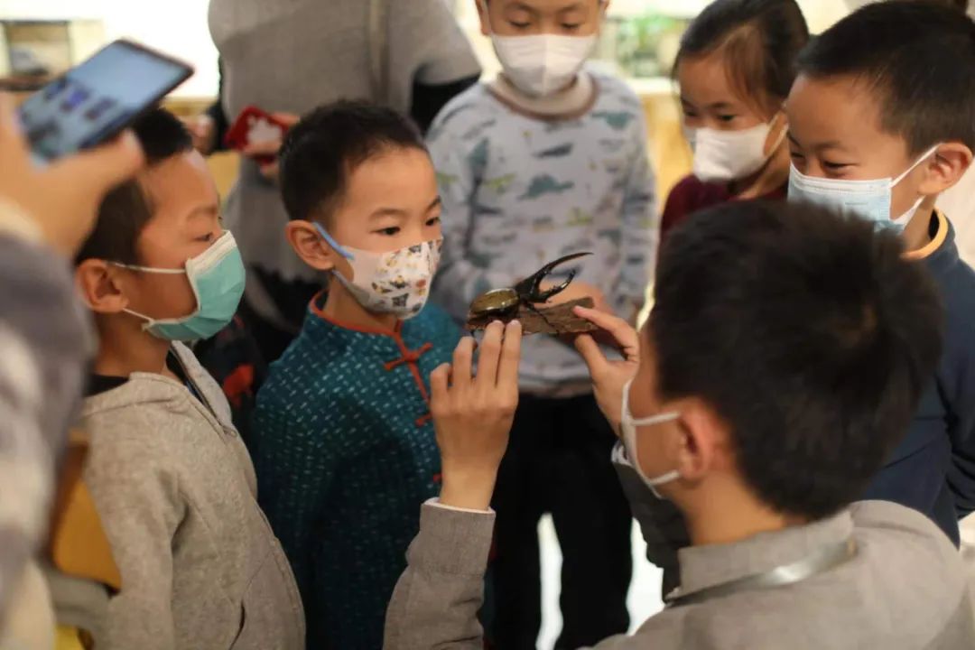 1675673497699516.jpg 1675673497699516.jpg