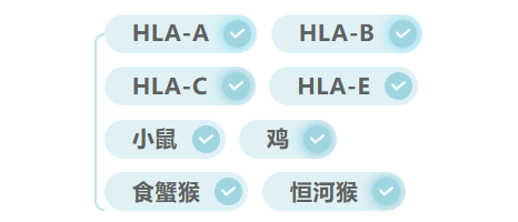 1686643656387006.png 1686643656387006.png