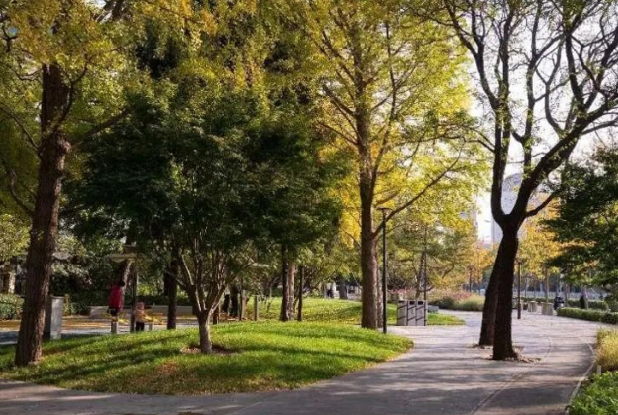 1695114353806250.png 8f3baaaca15e9f4ea55a91ed8b67ef5.png